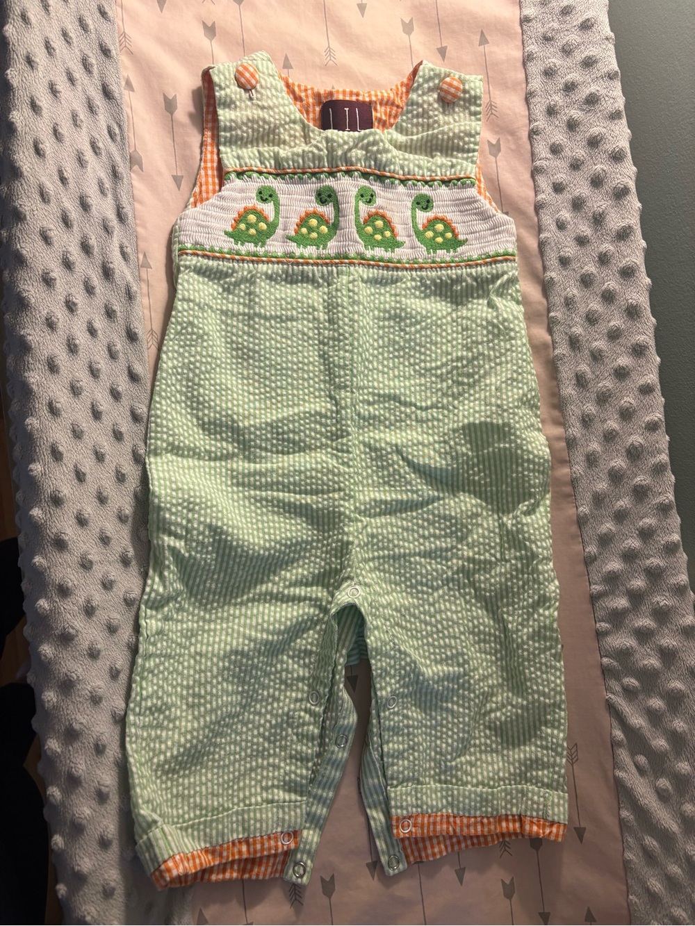Cactus Light Green Seersucker Dino Smocked Overalls with Orange Trim